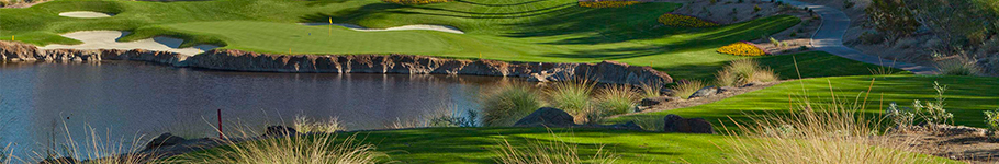 Link to SOUTHSHORE COUNTRY CLUB LLV website