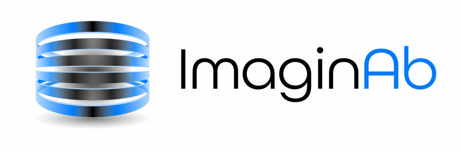 Link to IMAGINAB, INC website